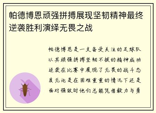 帕德博恩顽强拼搏展现坚韧精神最终逆袭胜利演绎无畏之战