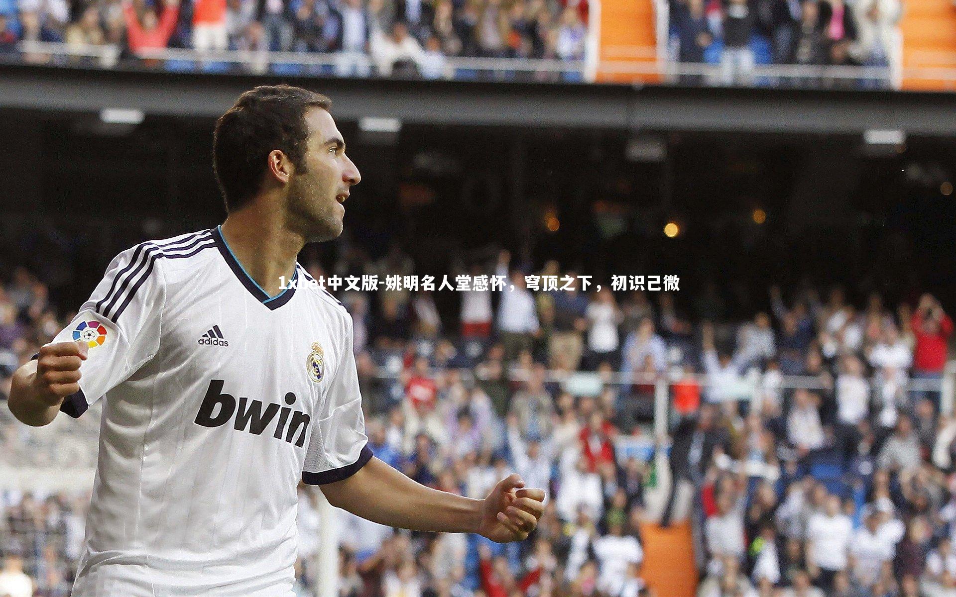 姚明名人堂感怀，穹顶之下，初识己微